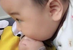 吃瓜爸爸带娃视频下载免费,免费下载亲子欢乐时光