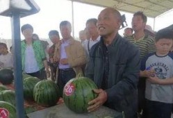 青岛红狮吃瓜群众视频,一场全民围观的热闹盛宴