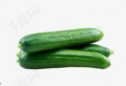 吃刺瓜搞笑视频大全下载