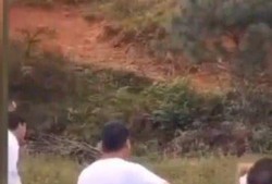 伴郎和新娘吃瓜视频播放,伴郎新娘吃瓜视频引网友热议