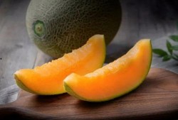 蜜袋鼯吃哈密瓜视频,哈密瓜成萌宠美食新宠