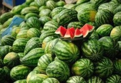 武都吃瓜网红事件真相视频,真相视频曝光背后的真相