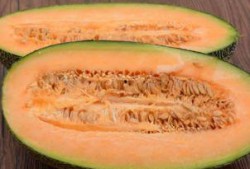 假吃哈密瓜素材视频大全,趣味挑战背后的美食诱惑