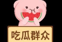 吃瓜调侃视频素材下载免费,免费下载吃瓜调侃视频，轻松get欢乐瞬间