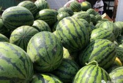 砀山最新吃瓜爆料视频,揭秘神秘事件背后的真相