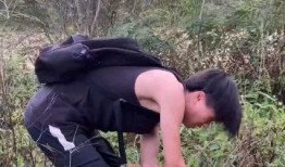 牛马吃瓜视频,一场意想不到的跨界美食盛宴