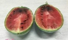 打架吃瓜原视频,打架吃瓜现场，网友直呼“太刺激”