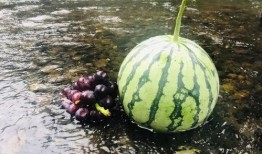 武都清水沟吃瓜视频,揭秘背后真相与网友热议