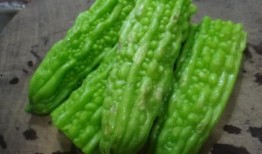 吃菱角瓜的好处和坏处视频,营养益处与潜在风险一览