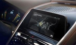 重庆宝马吃瓜事件视频,一场引发热议的网络风波