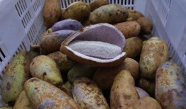 群众吃瓜炸屏视频