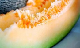 夏天清凉吃瓜视频