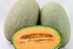 在大厅吃哈密瓜可以吗视频,大厅里的美味时光