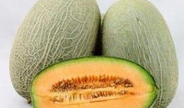 在大厅吃哈密瓜可以吗视频,大厅里的美味时光