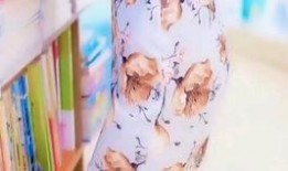 吃瓜少女胶片的视频,揭秘网红幕后生活