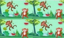 猴子上树吃瓜的故事视频