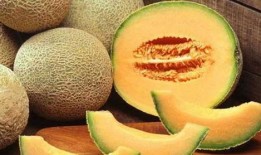 傻瓜吃哈密瓜视频,傻瓜的甜蜜冒险