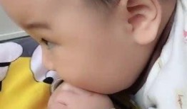 吃瓜爸爸带娃视频下载免费,免费下载亲子欢乐时光