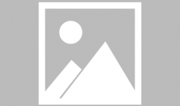 吃瓜熊打架视频在线观看,一场爆笑的动物对决