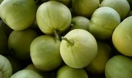 香瓜园吃瓜视频在线观看