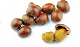 奶栗吃瓜视频,揭秘网红美食背后的故事