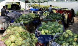 定州市西坂吃瓜视频公司,揭秘短视频行业的创新力量