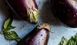 小鸡可以吃茄瓜么吗视频,揭秘小动物饮食之谜