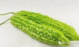 吊瓜怎么吃减脂最快视频,高效食用法助你快速瘦身