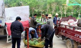 东乡吃瓜群众新闻视频,新闻视频背后的故事与真相