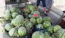 保定唐县吃瓜事件视频最新,真相与误解交织