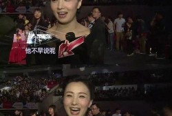 吃瓜少女段奕宏视频,揭秘娱乐圈幕后故事