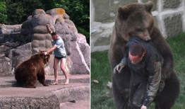 吃瓜熊打架视频在线观看,一场爆笑的动物对决