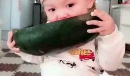 西瓜宝宝吃瓜视频,萌态十足引网友热议