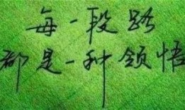 一贫如洗吃瓜视频,揭秘底层生活百态