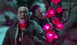 盗墓吃瓜视频在线观看,揭秘古墓奇闻，带你领略神秘探险之旅