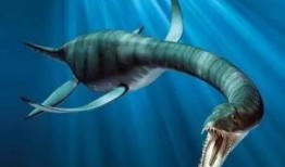 海怪吃瓜视频大全,海怪吃瓜视频大全揭秘