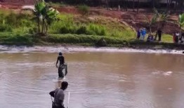 抓鱼吃瓜视频在线观看,欢乐无限，在线观看畅享夏日时光