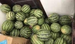 荥经吃瓜视频,揭秘当地特色美食背后的故事