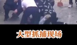 抓捕吃瓜群众视频播放时间,揭秘吃瓜群众视频播放背后的时间奥秘