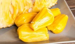 阿瓜吃菠萝蜜视频下载免费,免费下载视频见证美味瞬间