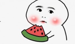 骂人吃瓜视频搞笑