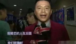 吃瓜少女段奕宏视频,揭秘娱乐圈幕后故事