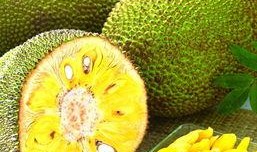 阿瓜吃菠萝蜜视频下载免费,免费下载视频见证美味瞬间