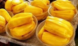 阿瓜吃菠萝蜜视频下载免费,免费下载视频见证美味瞬间