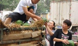 定州市西坂吃瓜视频公司,揭秘短视频行业的创新力量