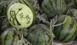 蔡二哥新沂吃瓜视频,揭秘当地美食与风土人情