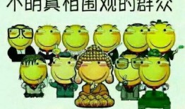 吃瓜群众碰拳二哈视频全集,一场欢乐的宠物互动盛宴