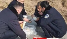 警察吃瓜被摔死视频真实,一场悲剧引发的深思