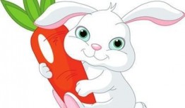 小兔子吃凉瓜视频,凉瓜美食大挑战