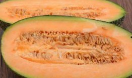 傻瓜吃哈密瓜视频,傻瓜的甜蜜冒险